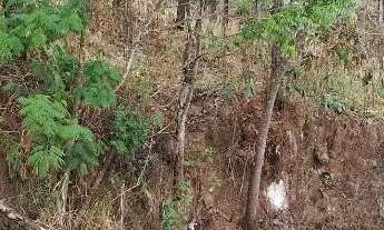 Imagem 4: Atibaia 1.000m² R$ 140.000,00 Parcelado em 24 vezes!