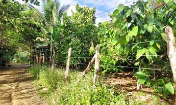 Imagem 4: Vendo sítio em Valença Bahia