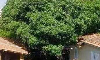 Imagem 3: Terreno à venda, 1470 m² Parque Sao Domingos-Mangalot 15 Metros de Frentepor R$ 2.500.000