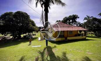 Imagem 3: Fazenda a venda com 175ha na região de Jangada Às margens da MT-246, a apenas: 27 km do
