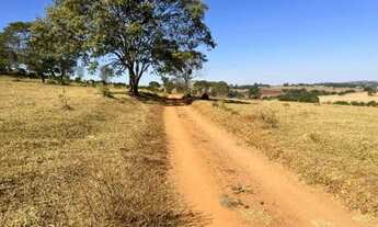 Imagem 5: Chácara em Nerópolis 3 alq. só R$ 1.500.000