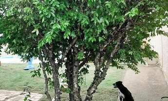 Imagem 6: CHACARA NO CONDOMINIO COLINA NOVA BOITUVA