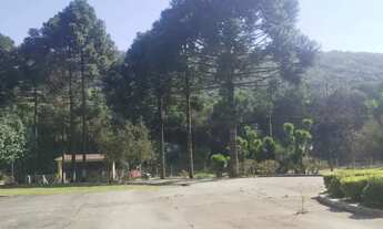 Imagem 5: CHÁCARA FORMADA EM ALMIRANTE TAMANDARÉ