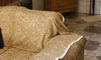 Imagem 5: Pandolfo Vende Sítio no Guaíba Country