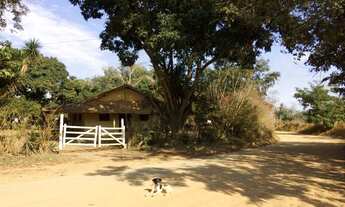 Imagem 7: Fazenda de pequeno porte para arrendamento - Imperdível