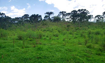 Imagem 3: 17 Hectares na rota de Urupema/Rio Rufino