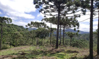 Imagem 6: 17 Hectares na rota de Urupema/Rio Rufino