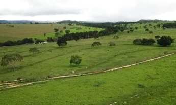 Imagem 2: Fazenda 67 Alqueires em Santa Isabel-Go