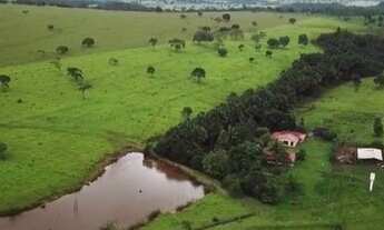 Imagem: Fazenda 67 Alqueires em Santa Isabel-Go