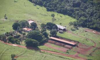 Imagem 4: 648 Alqueires em Doverlandia Go