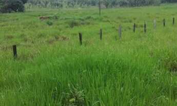 Imagem 5: Fazenda a venda Município de Brasnorte - MT