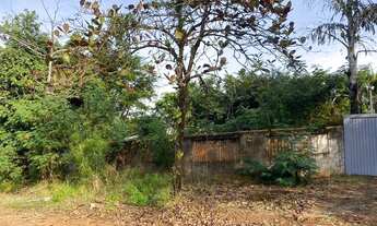 Imagem 2: Domínio sobre terreno 5.005m², c/ casa, edicula, galpões e estufas, Bauru/SP