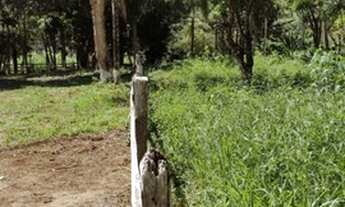 Imagem 4: Excelente terreno com 1.000m2 na serra da Mantiqueira em Wenceslau Brás/MG