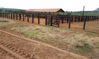 Imagem 2: FAZENDA 256 ALQUEIRES