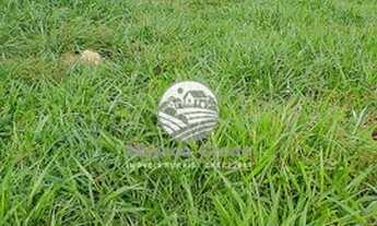 Imagem 6: Venda - Sítio - Machadinho D'Oeste - 8 Alqueires