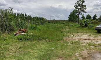 Imagem 7: Terreno em Piraquara