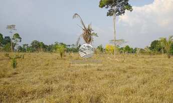 Imagem 4: Venda - Sítio - Machadinho D'Oeste - 19 Alqueires