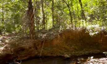 Imagem 3: Chácara DF 190 pertinho asfalto 5000m2