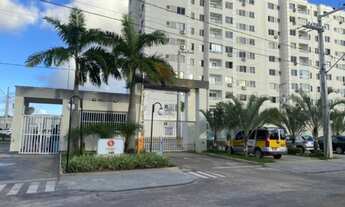 Imagem: Alameda dos Ipes