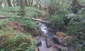 Imagem 6: Urubici/Sítio/Area com 2 hectares próximo a Serra do Corvo Branco. Urubici-sc