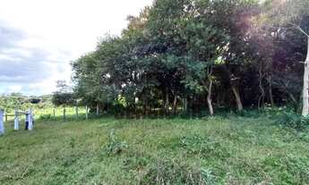 Imagem 4: Área de terra com 7.000m² em Triunfo - Aceito veículo