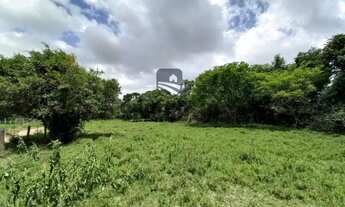 Imagem 6: Área de terra com 3.000m² e frente para o Rio Jacuí - Triunfo