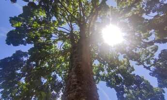 Imagem 3: A 5 minutos do centro de Teresópolis - Cercada pela natureza