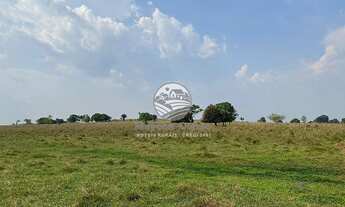 Imagem 3: Venda - Fazenda - Alvorada D'Oeste - Alvorada