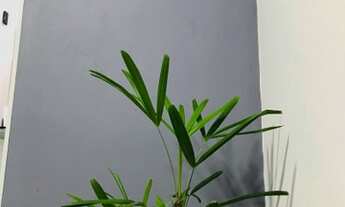 Imagem 4: Kitnet mobiliada, contrato anual