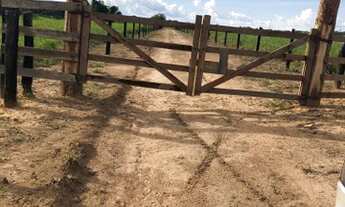 Imagem: Fazenda a venda Município de Brasnorte