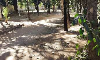 Imagem 6: Suítes do bosque