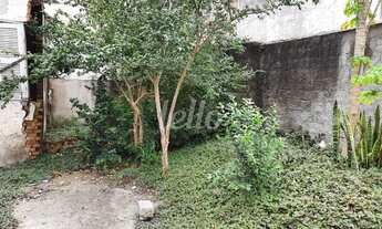 Imagem 6: São Paulo - Terreno Padrão - Vila Prudente