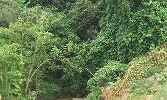 Imagem 7: Jacarei - Terreno Padrão - Chacaras Santa Maria