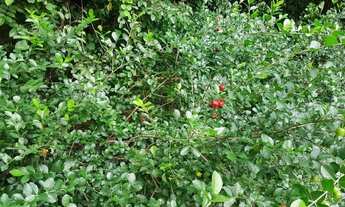 Imagem 5: CASA RESIDENCIAL em ITU - SP, CONDOMÍNIO TERRAS DE SÃO JOSÉ