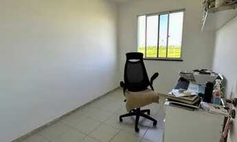 Imagem 4: PALM VILLE - aruana - Vista livre /"