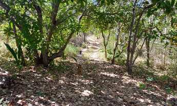 Imagem 6: Chácaras de dois hectares com Rio vermelho!
