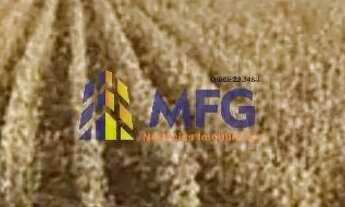 Imagem 3: Fazenda em Nova Mutum MG