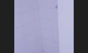 Imagem 3: Alugo apartamento novo no Bairro Estoril - Direto com o dono