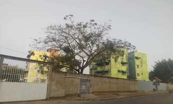 Imagem 5: Apat manoel julião