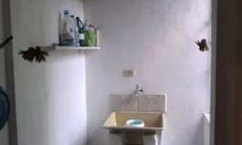 Imagem 5: Gs- Aceitamos Parcelamento