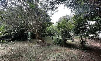 Imagem 7: Lote 1 mil m² na Fazendinha em rua tranquila, pronto para construir!