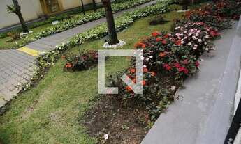 Imagem 4: Apartamento para Aluguel - Jardim Iris , 1 Quarto, 48 m2