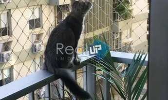 Imagem 3: Oportunidade na Gávea