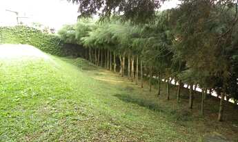 Imagem 4: Casa com 3 dormitórios para alugar, 282 m² - San Diego Park - Cotia/SP