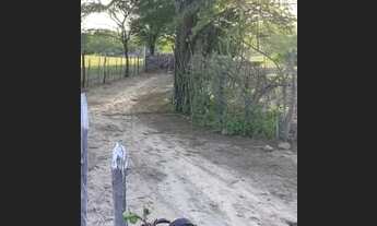 Imagem 2: Terreno 37 x 65 Chácara com venda por R$35.000