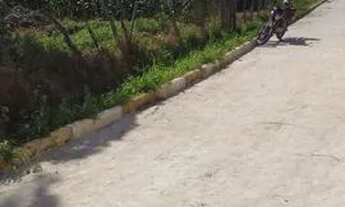 Imagem 3: Terreno melhor da região