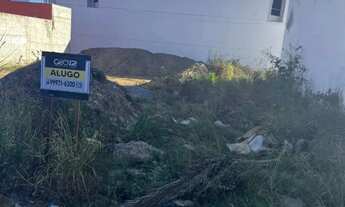 Imagem: Vendo lote no Anísio Amâncio/Chiara