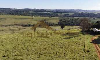 Imagem 4: Sitio com 12 alqueires na região de Itapetininga-SP