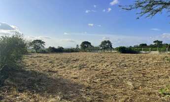 Imagem 2: Meia tarefa próximo ao retiro