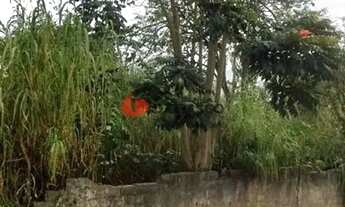 Imagem 4: Terreno à venda Jardim São Caetano, São Caetano do Sul - SP